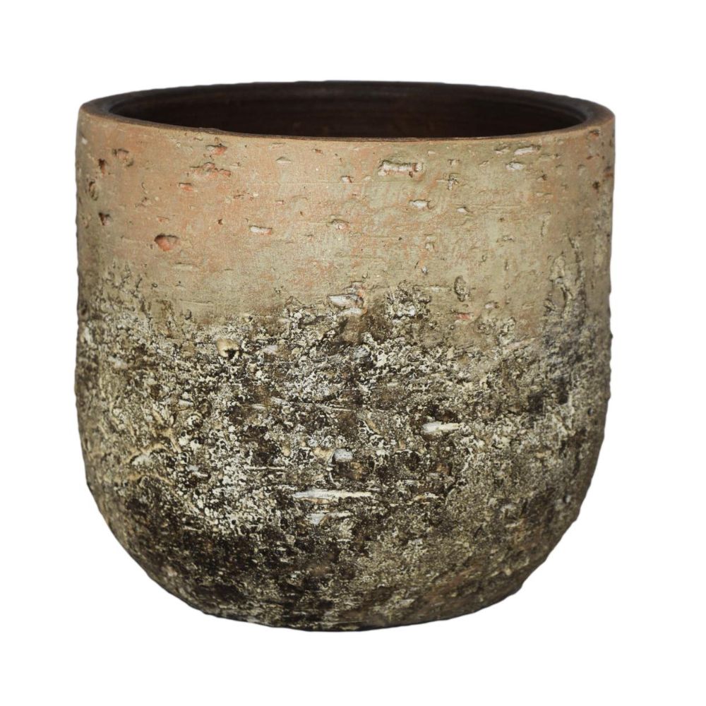 Ivyline 26cm Albero Ceramic Pot - Grey