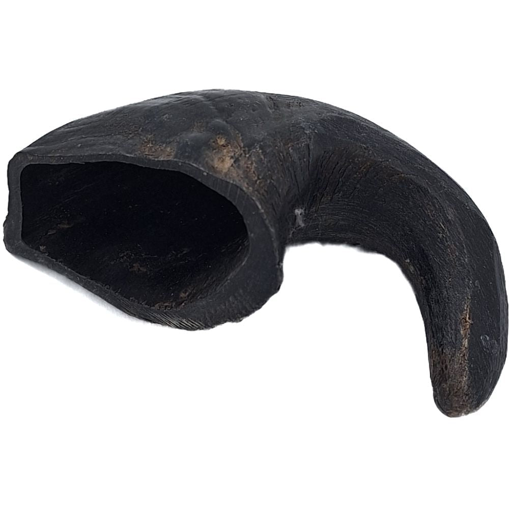 K9 Chew Co Medium Buffalo Horn - Old Railway Line Garden Centre