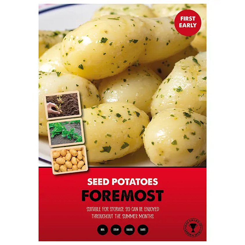Kapiteyn 10 Foremost First Early Seed Potatoes
