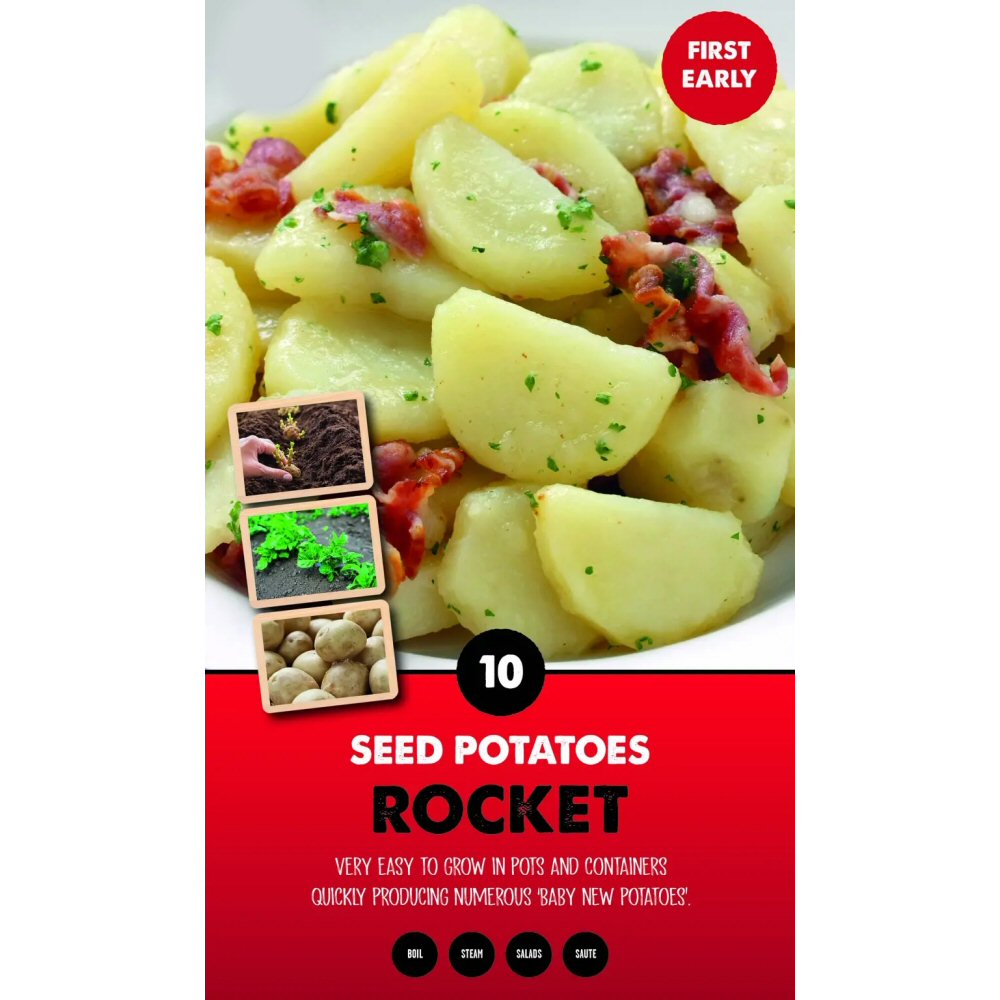 Kapiteyn 10 Rocket First Early Seed Potatoes
