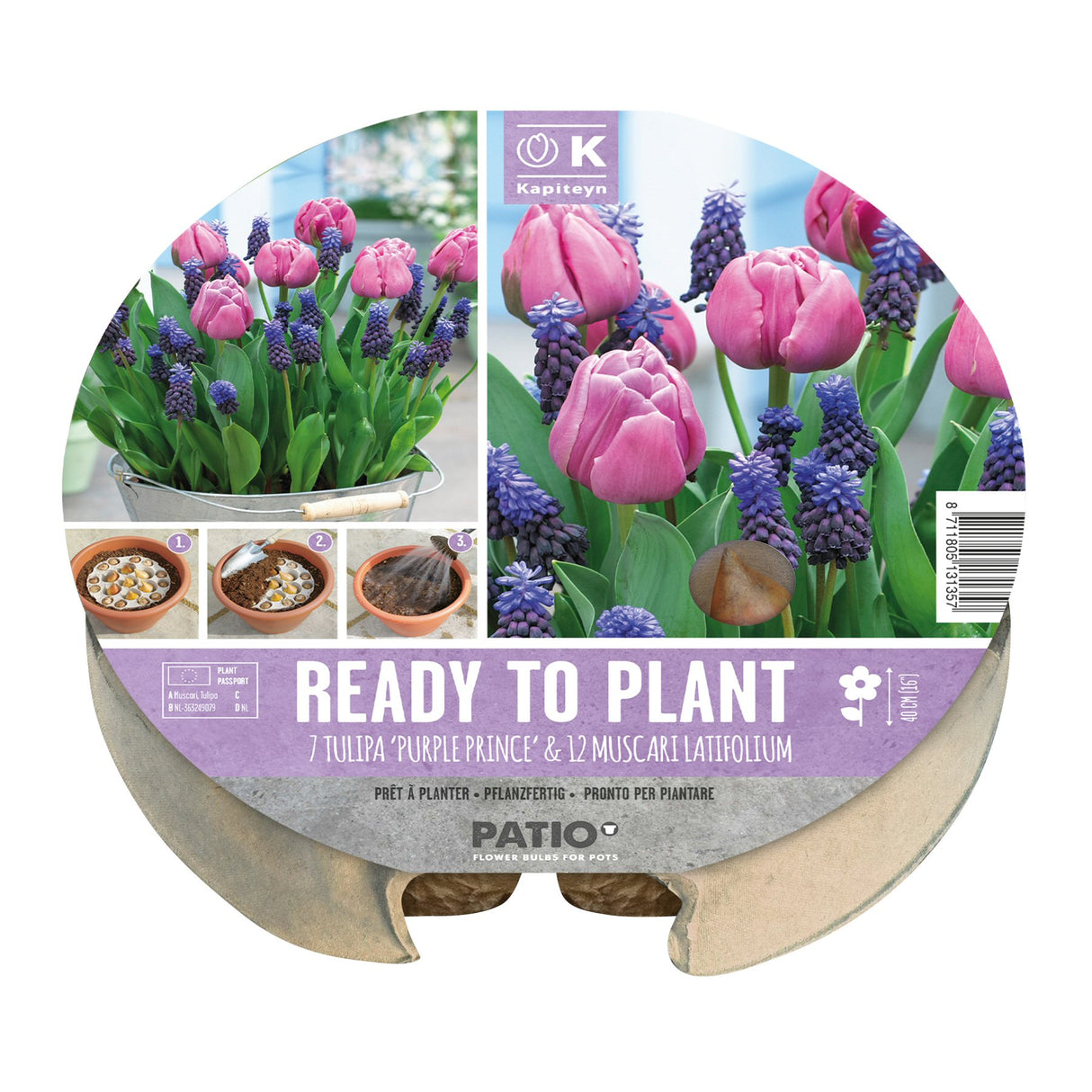 Kapiteyn 24cm Tulip & Muscari Plant-O-Mat Spring Flowering Bulbs
