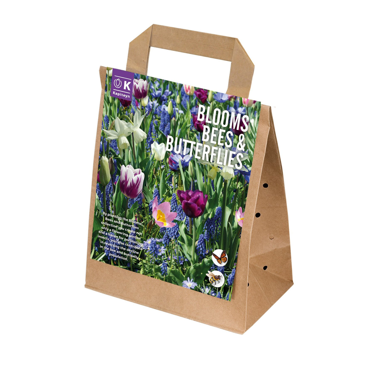 Kapiteyn 25 Blue Shades Blooms, Bees & Butterflies Landscape Garden Spring Flowering Bulbs