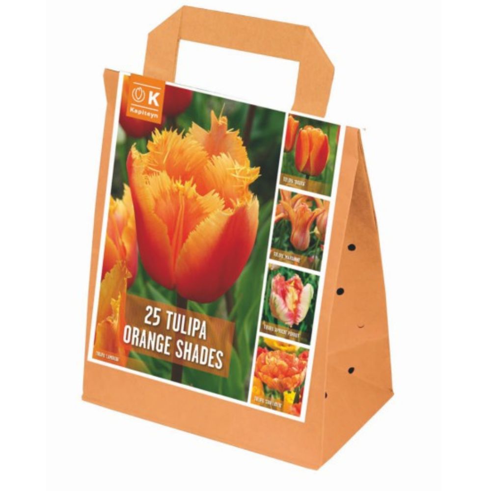Kapiteyn 25 Orange Shades Tulip Spring Flowering Bulbs