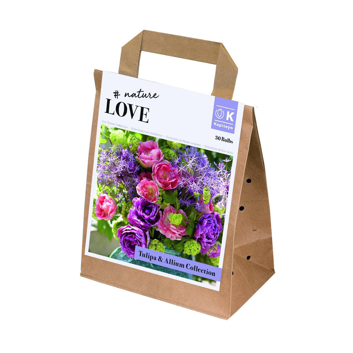 Kapiteyn 30 Tulip & Allium Bulb Spring Flowering Bulbs Bouquet Mix