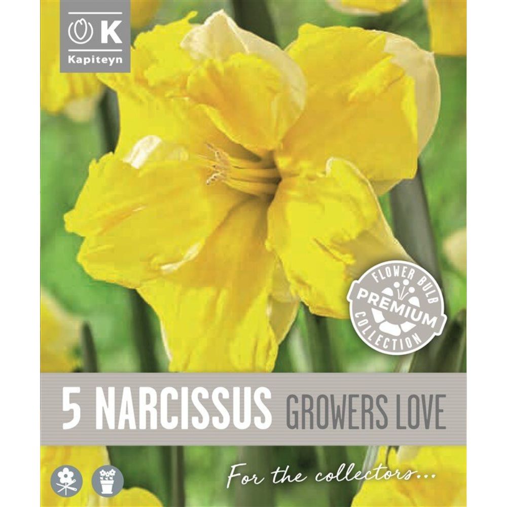 Kapiteyn 5 Narcissus Collar Growers Love Spring Flowering Bulbs