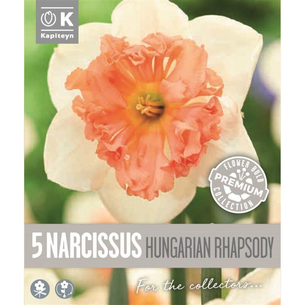 Kapiteyn 5 Narcissus Collar Hungarian Rhapsody Spring Flowering Bulbs