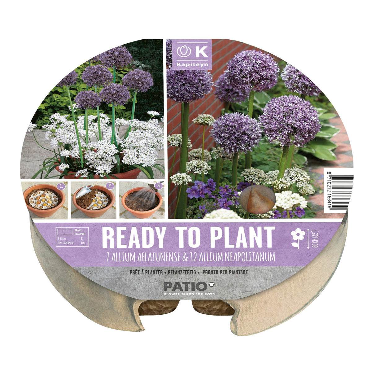 Kapiteyn 24cm Allium Plant-O-Mat Spring Flowering Bulbs