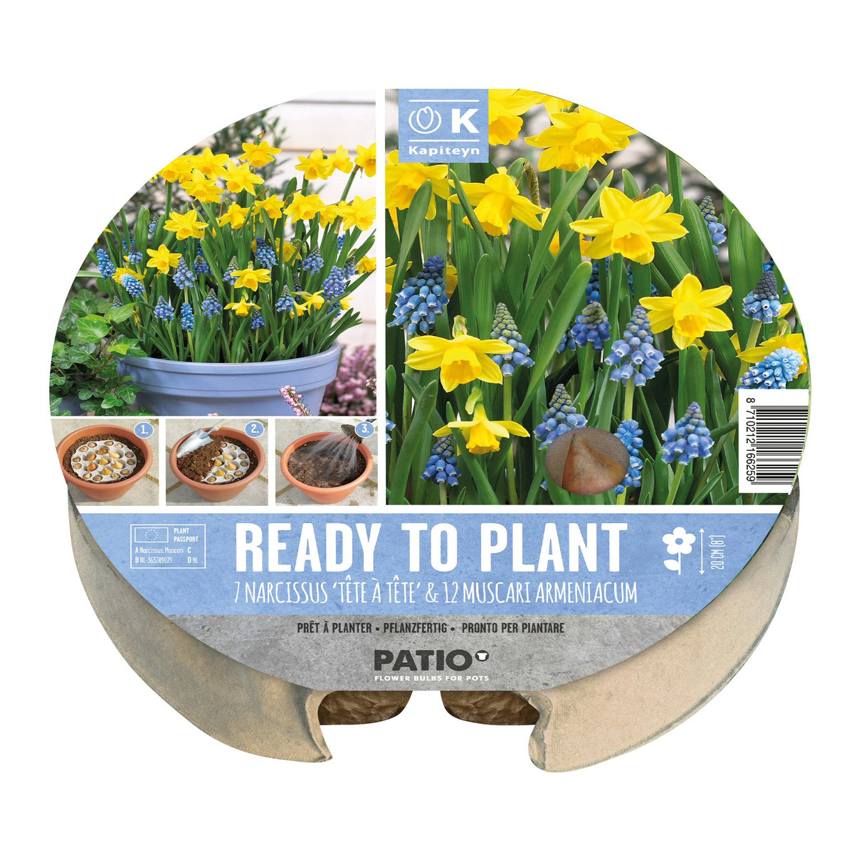 Kapiteyn 24cm Narcissus & Muscari Plant-O-Mat Spring Flowering Bulbs