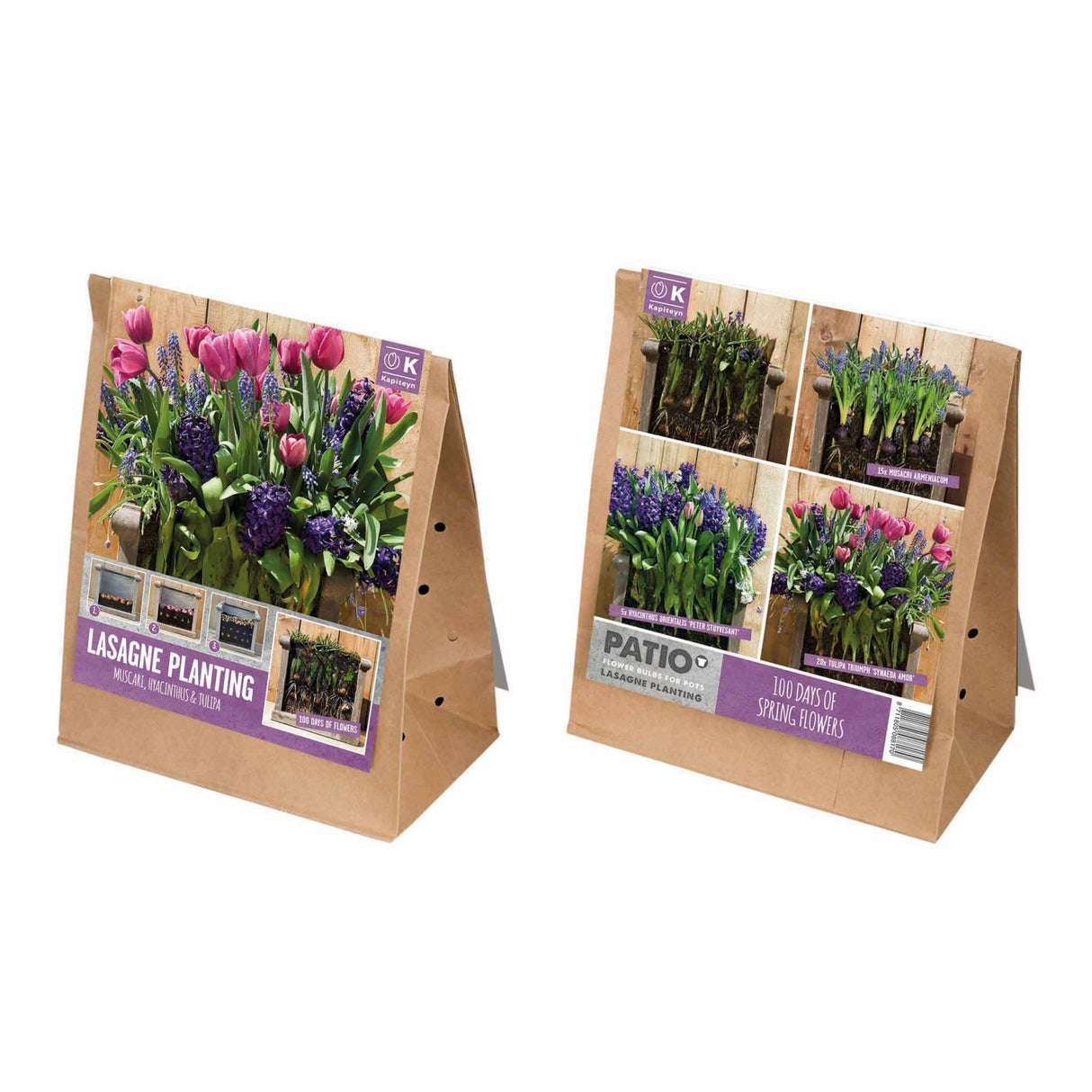 Kapiteyn Pink & Blue Lasagne Planting Patio Flower Spring Flowering Bulbs