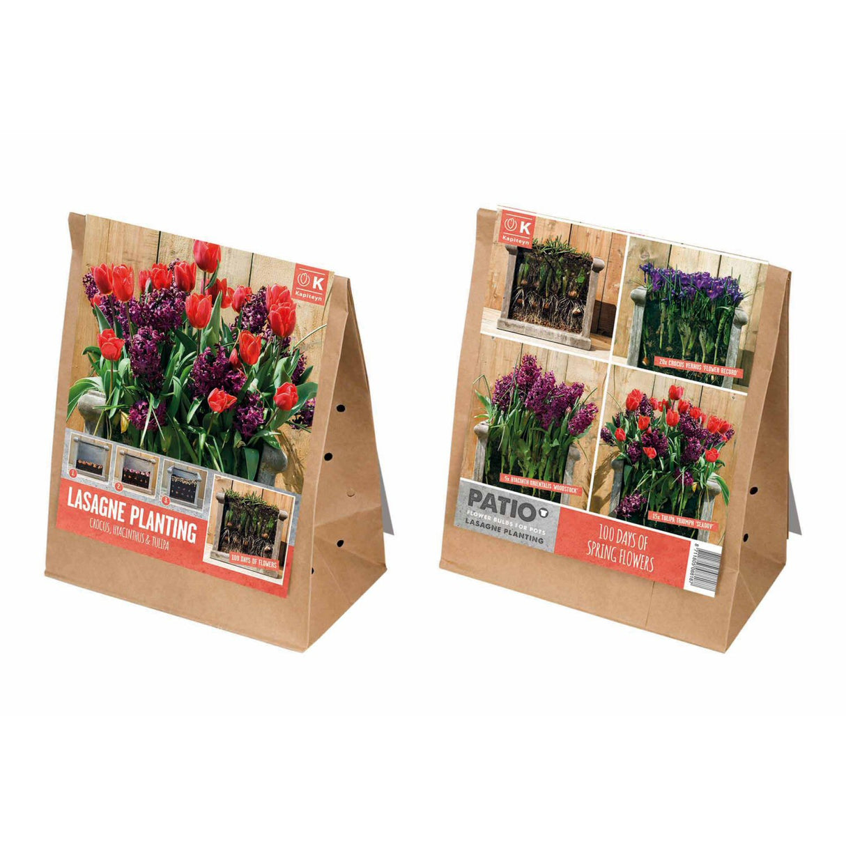 Kapiteyn Red & Purple Lasagne Planting Patio Flower Spring Flowering Bulbs