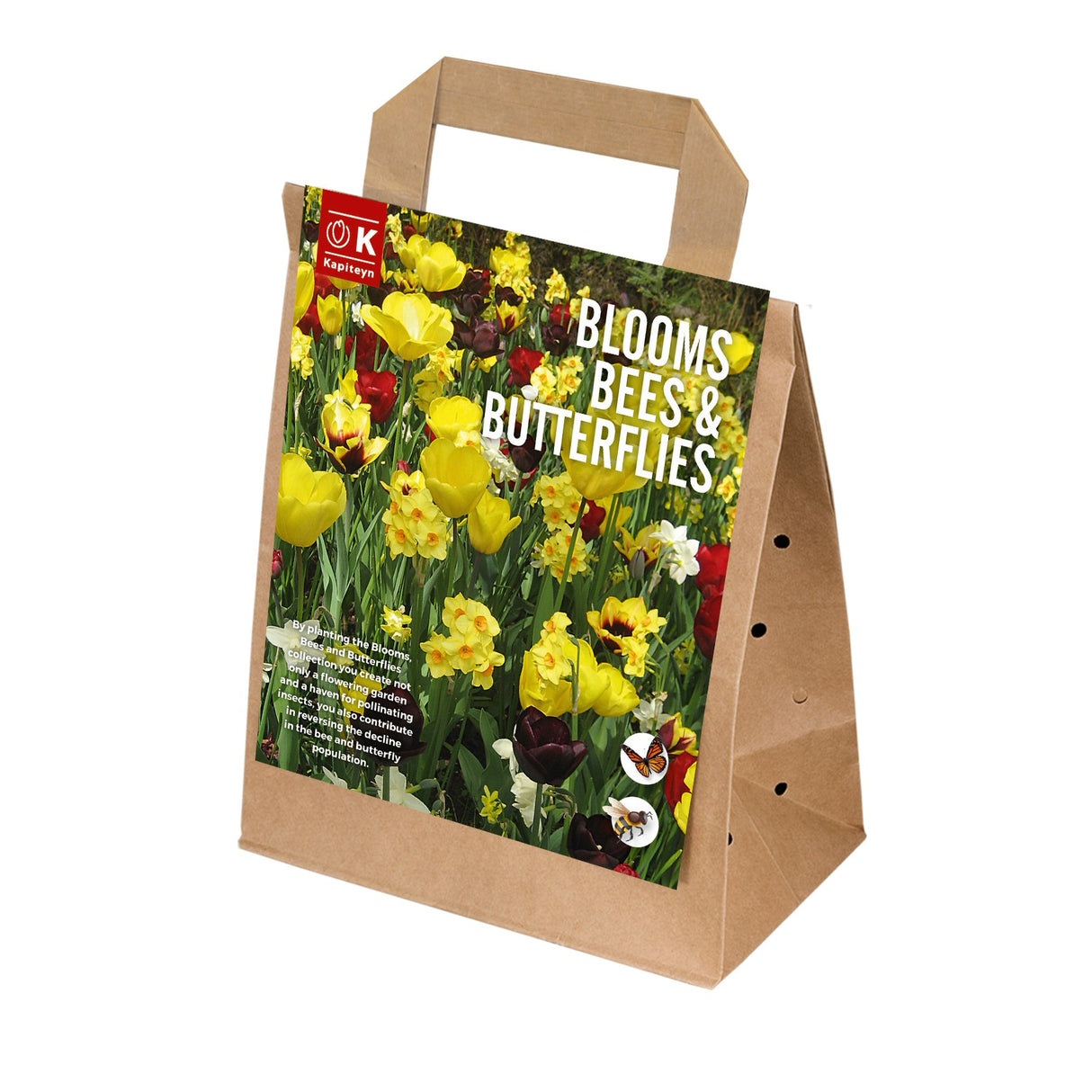 Kapiteyn 25 Yellow & Maroon Blooms, Bees & Butterflies Landscape Garden Spring Flowering Bulbs