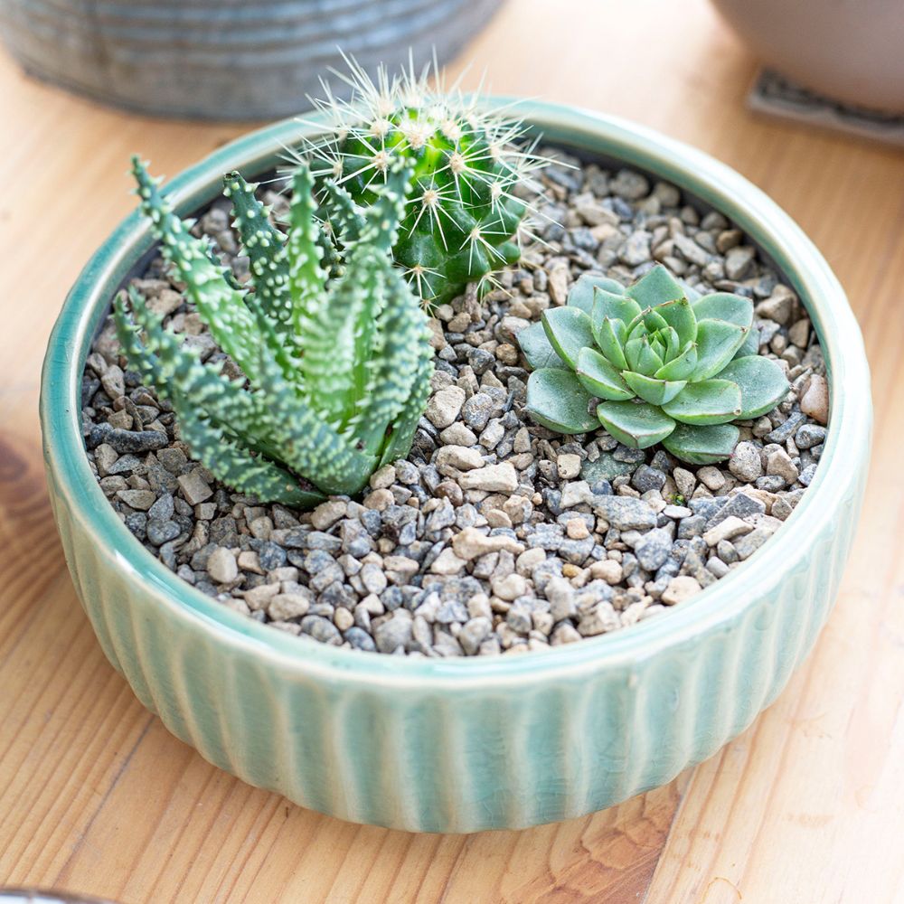 Kelkay 2-6mm Horticultural Alpine Grit Large Pack