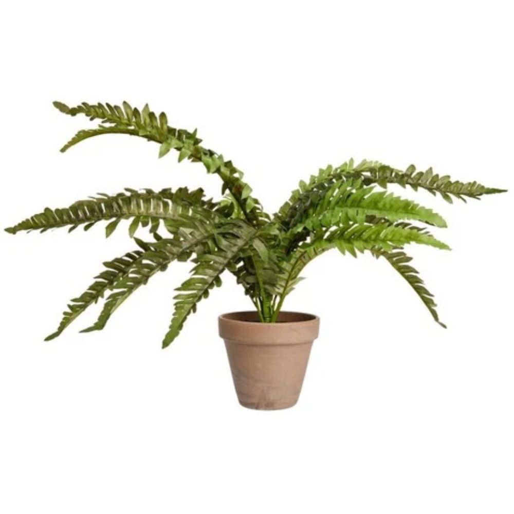 Mica Decorations 35cm Boston Fern Plant in Pot