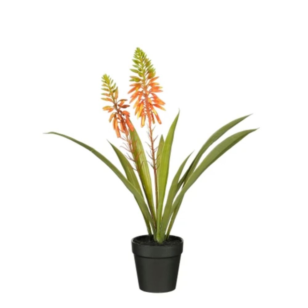 Mica Decorations 43cm Orange Aloe Vera Plant in Pot