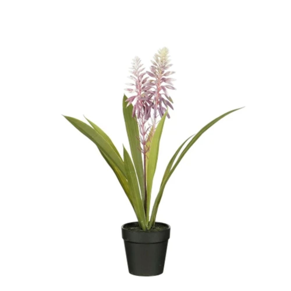 Mica Decorations 43cm Purple Aloe Vera Plant in Pot
