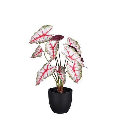 Mica Decorations 40cm Artificial Caladium in Pot Red