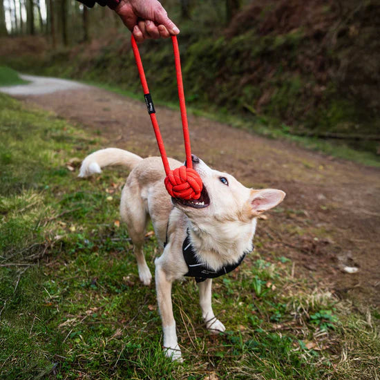 Mountain Paws Ball Rope Dog Toy - Orange
