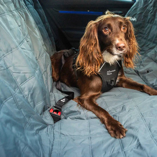 Mountain Paws Dog Car Seat Belt