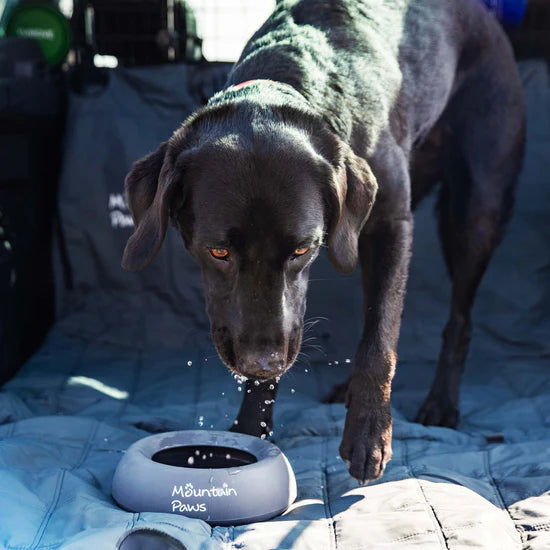 Mountain Paws Splashproof Dog Bowl - Grey