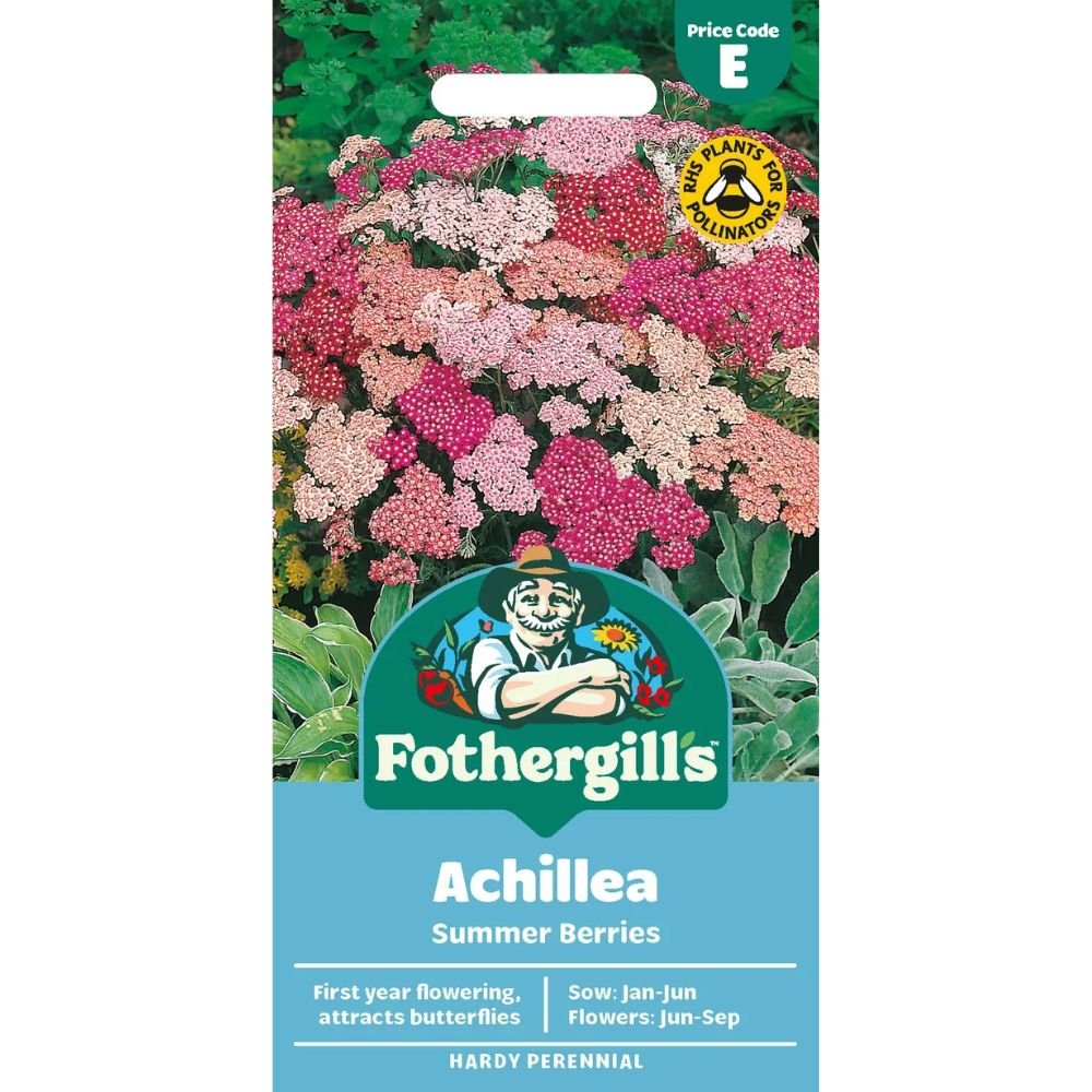 Mr Fothergill's Achillea Summer Berries F2 Seeds - Old Railway Line Garden Centre