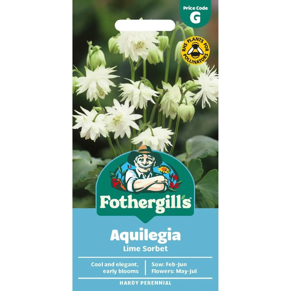 Mr Fothergill's Aquilegia Lime Sorbet Seeds - Old Railway Line Garden Centre