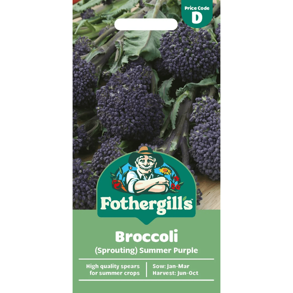 Mr Fothergill's Broccoli (Sprouting) Summer Purple Seeds - Old Railway Line Garden Centre