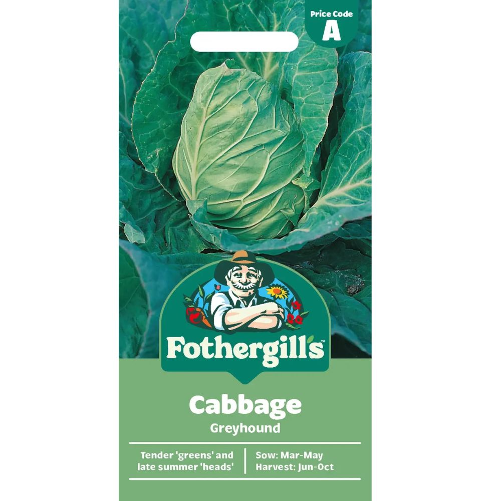 Mr Fothergill's Cabbage Greyhound Seeds