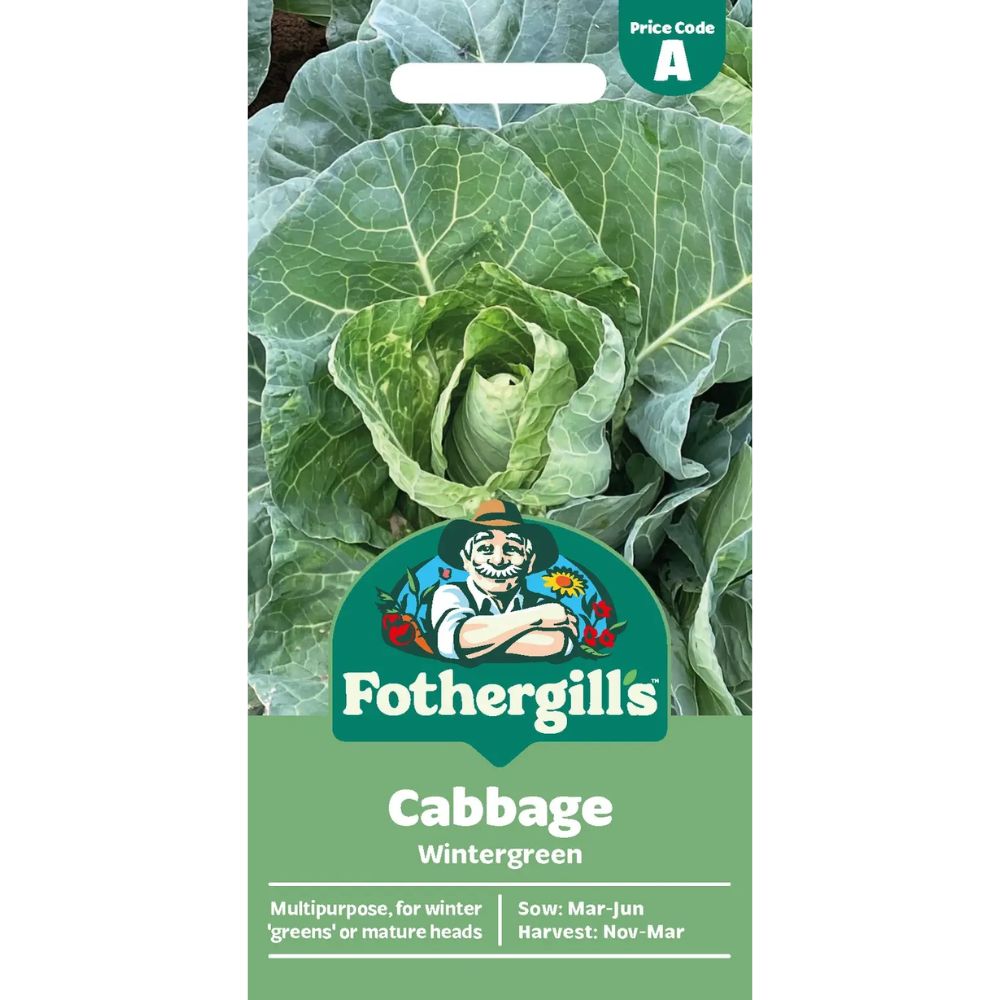 Mr Fothergill's Cabbage Wintergreen Seeds