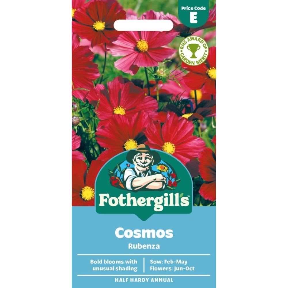 Mr Fothergill's Cosmos Rubenza Seeds