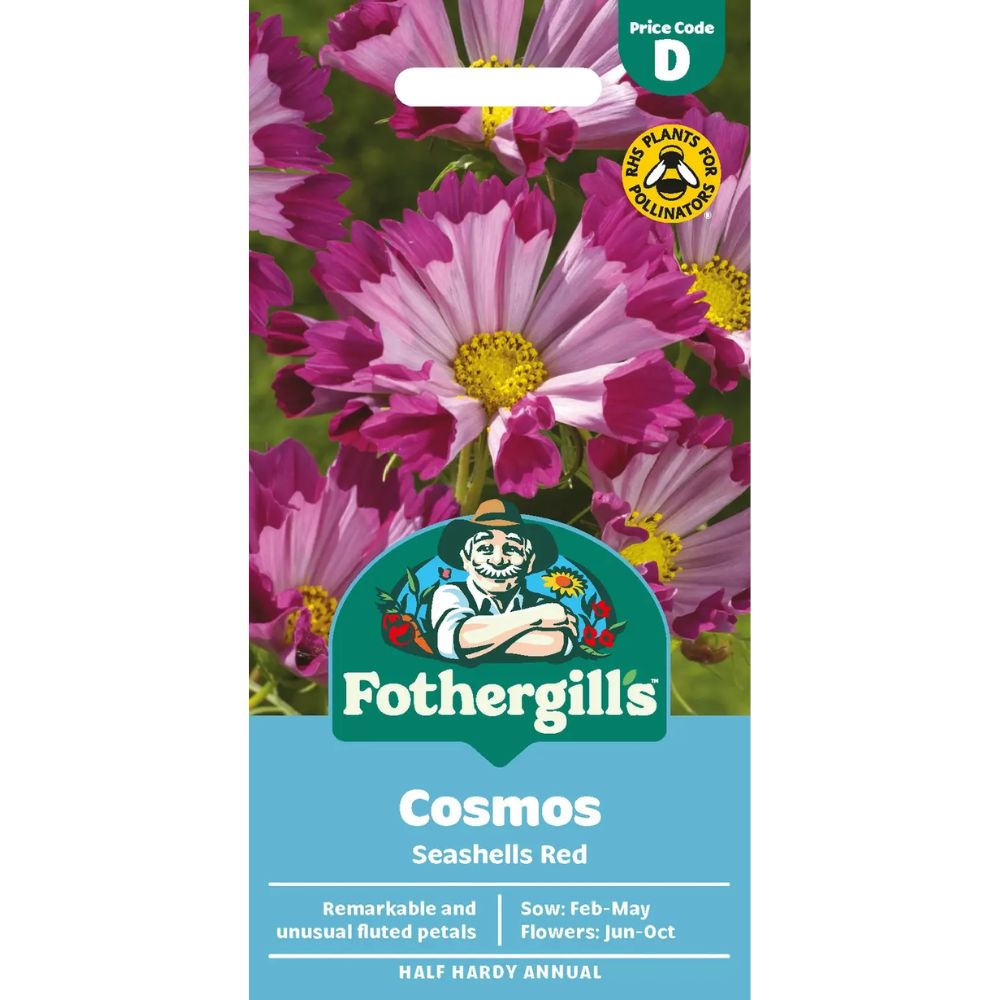 Mr Fothergill's Cosmos Seashells Red Seeds