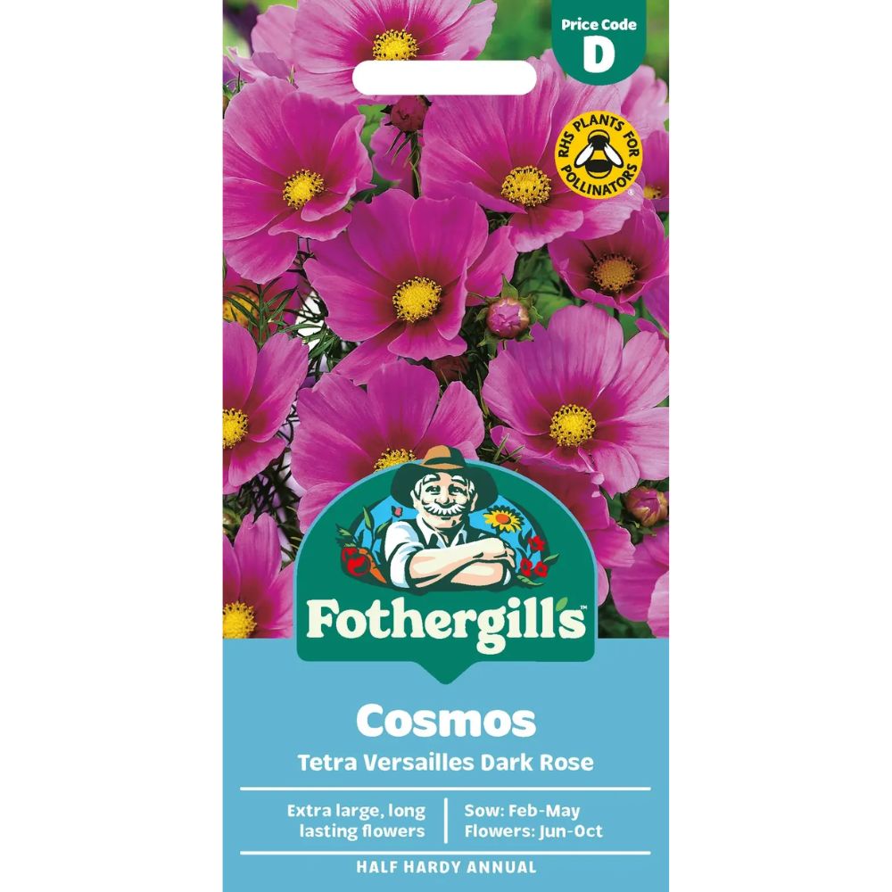 Mr Fothergill's Cosmos Tetra Versailles Dark Rose Seeds
