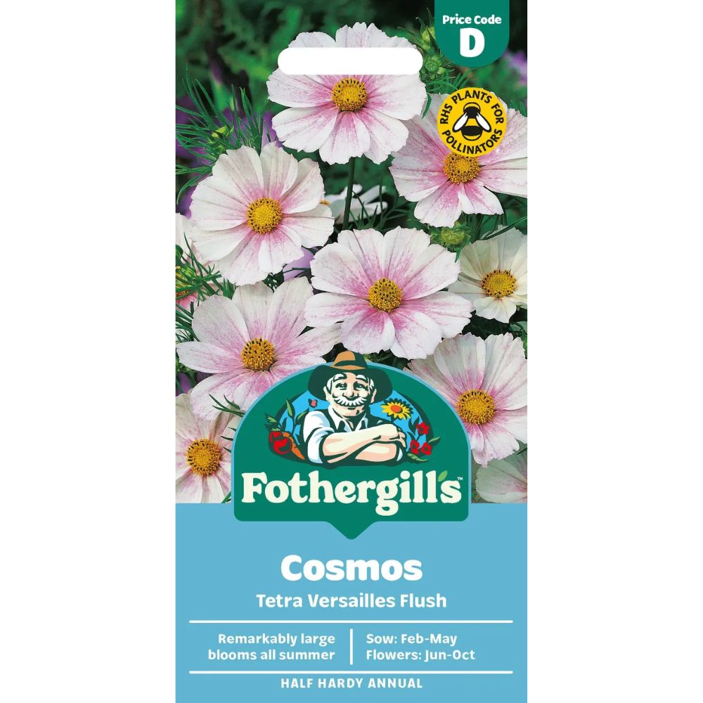 Mr Fothergill's Cosmos Tetra Versailles Flush Seeds