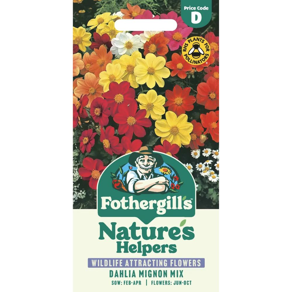 Mr Fothergill's Dahlia Mignon Mixed Seeds