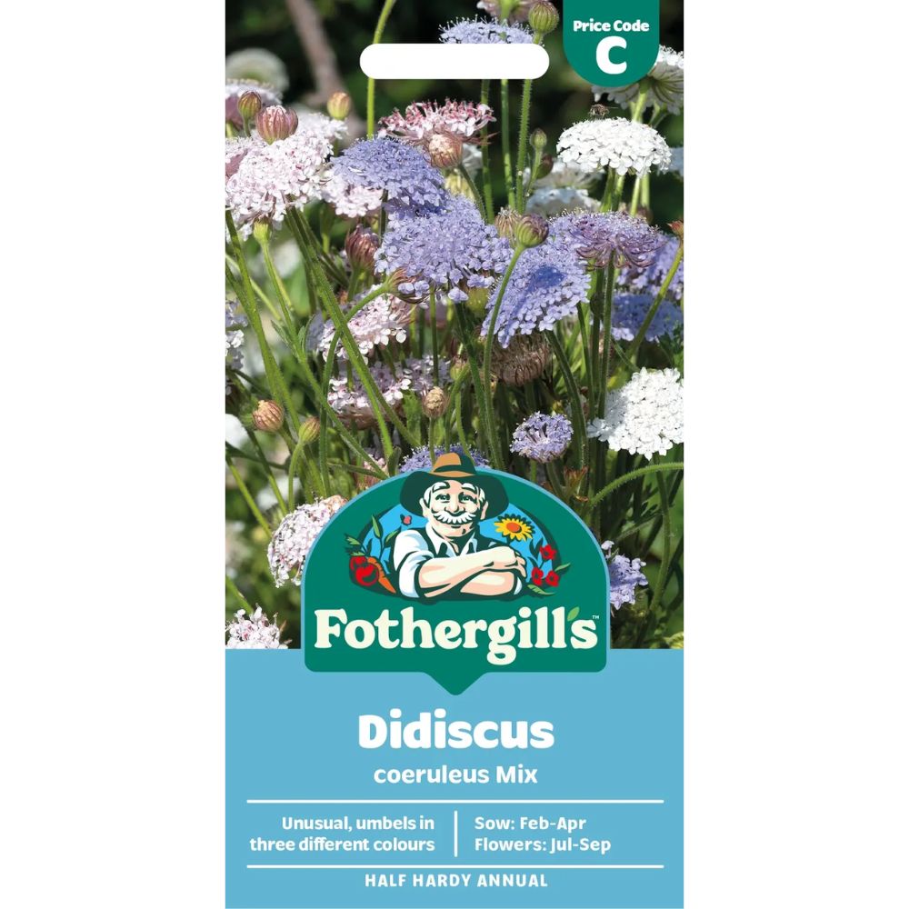 Mr Fothergill's Didiscus Coeruleus Mix Seeds