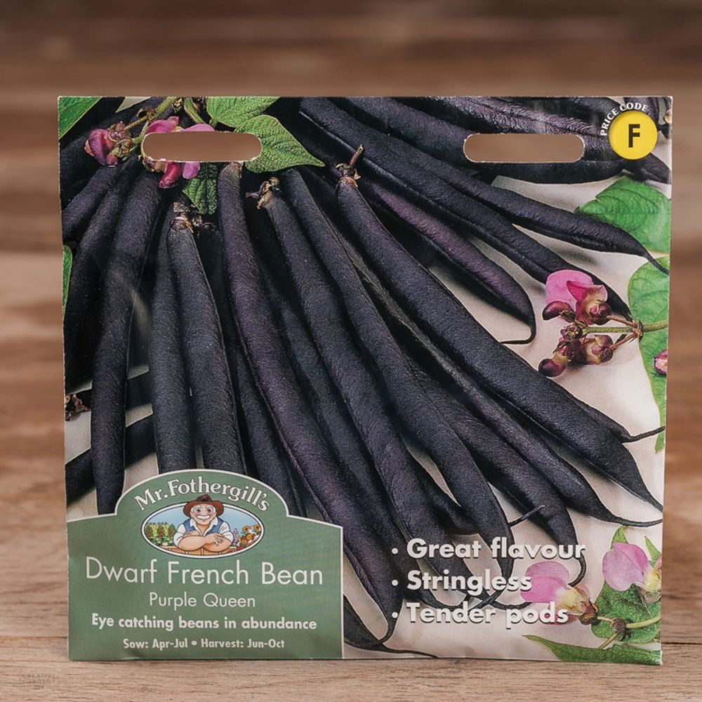Mr Fothergill's Dwarf French Bean Purple Queen Seeds
