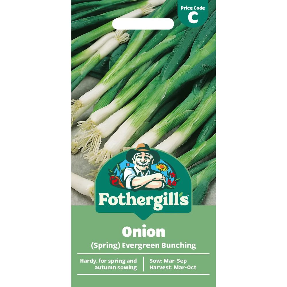 Mr Fothergill's Onion (Spring) Evergreen Bunching Seeds