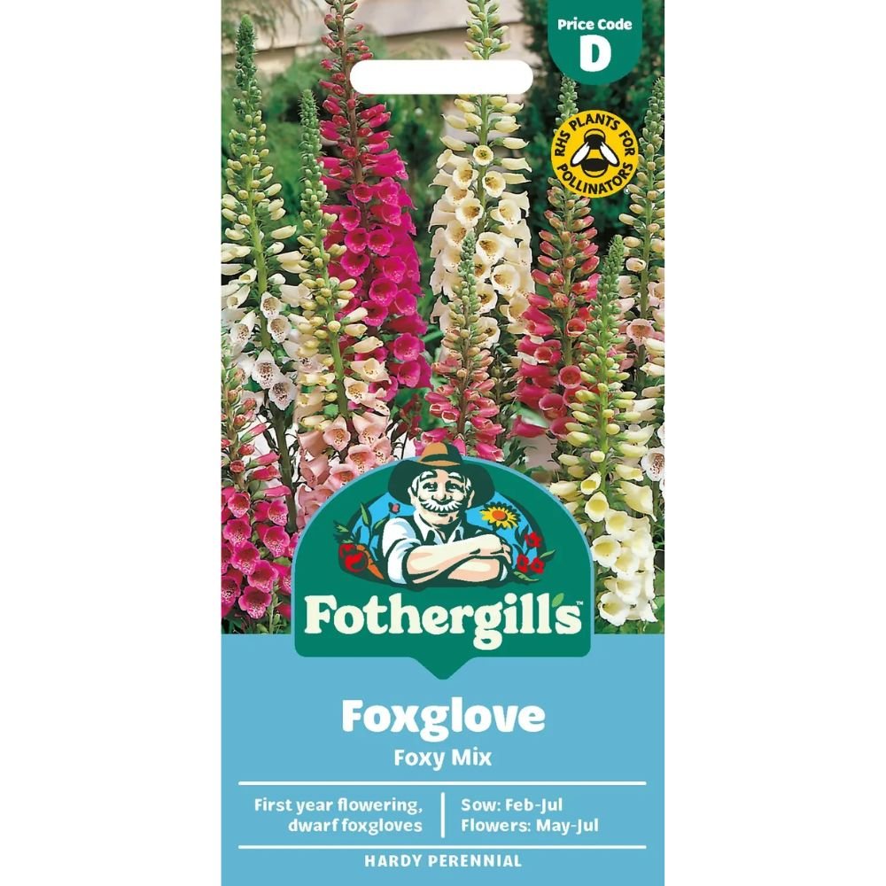 Mr Fothergill's Foxglove Foxy Mixed Seeds - Old Railway Line Garden Centre