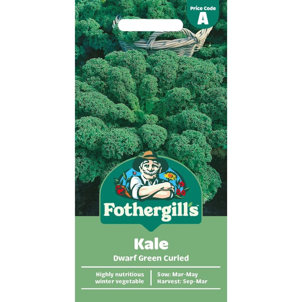 Mr Fothergill's Kale Dwarf Green Curled Seeds - Old Railway Line Garden Centre