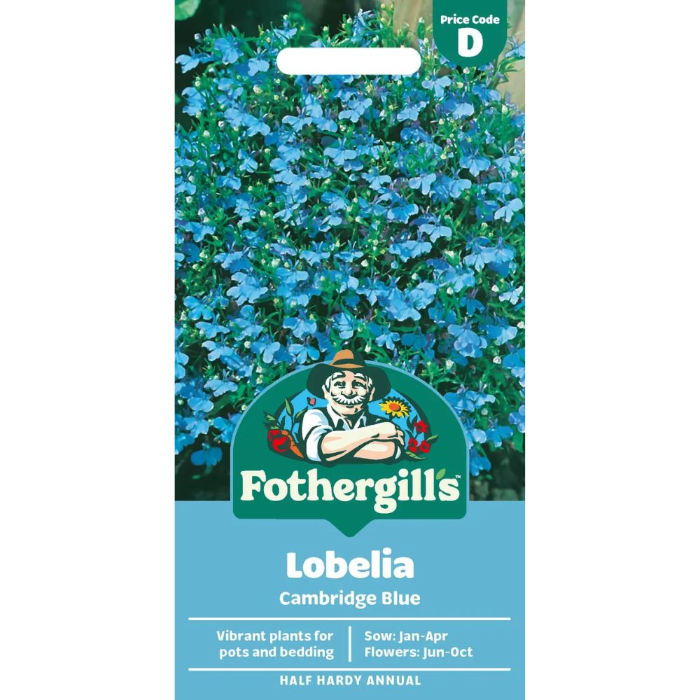 Mr Fothergill's Lobelia Cambridge Blue Seeds