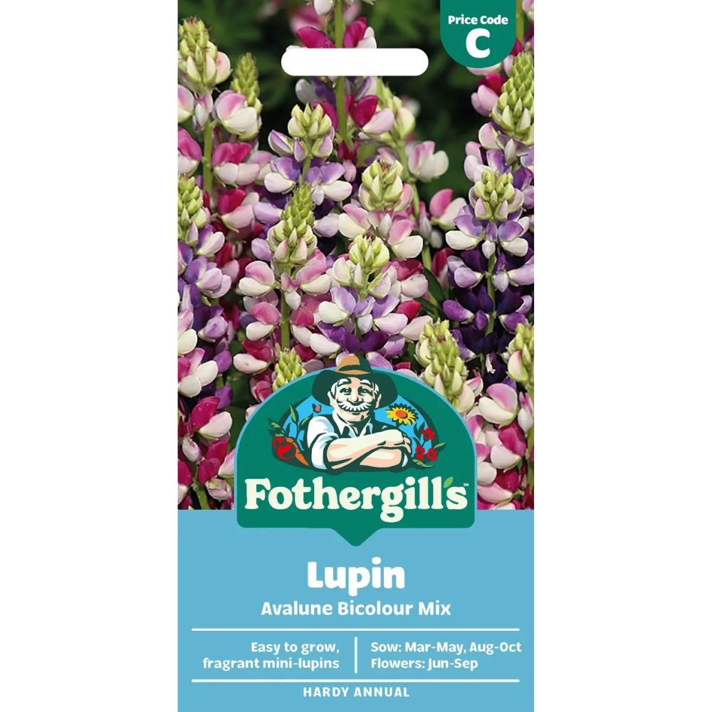 Mr Fothergill's Lupin Avalune Bicolour Mix Seeds