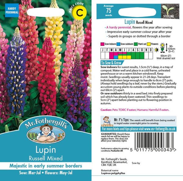 Mr Fothergills Lupin Russell MIxed Seeds - Old Railway Line Garden Centre