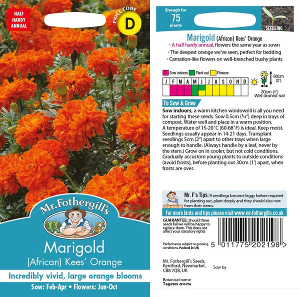 Mr Fothergills Marigold (African) Kees' Orange Seeds