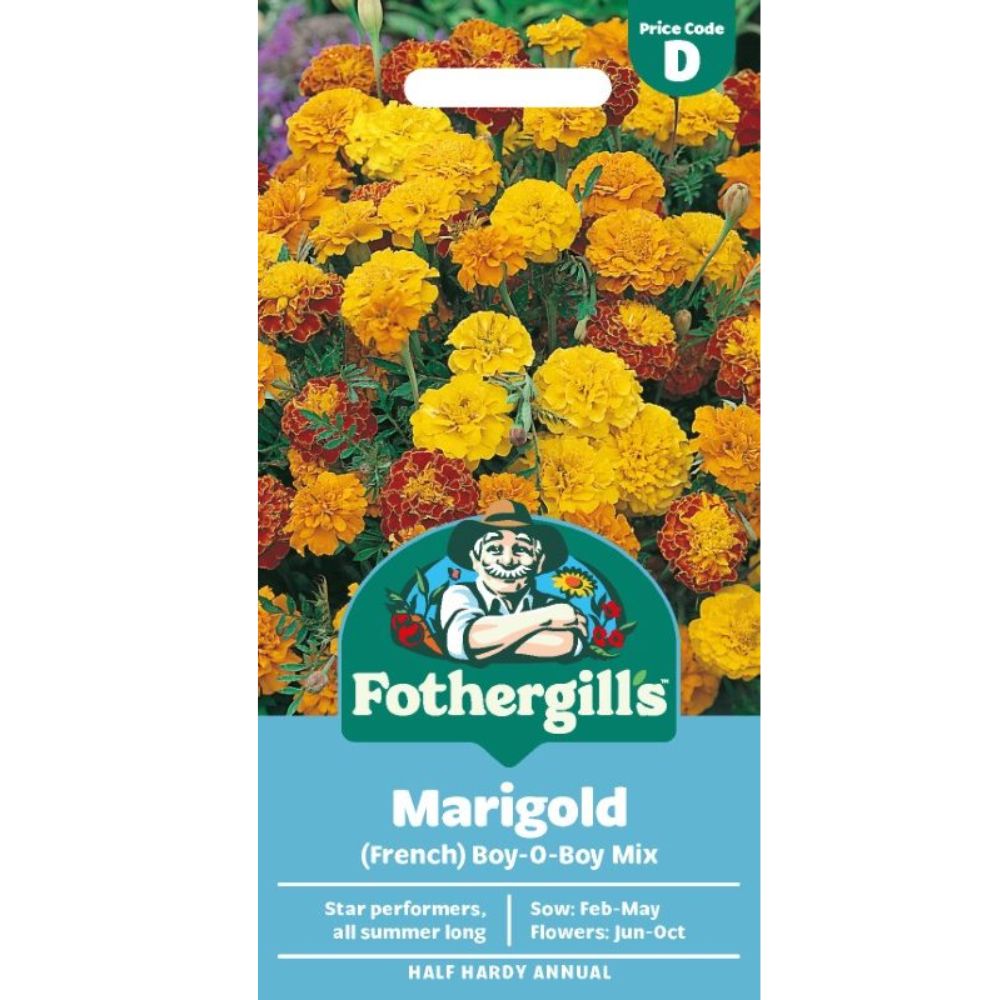 Mr Fothergill's Marigold (French) Boy-O-Boy Mixed Seeds