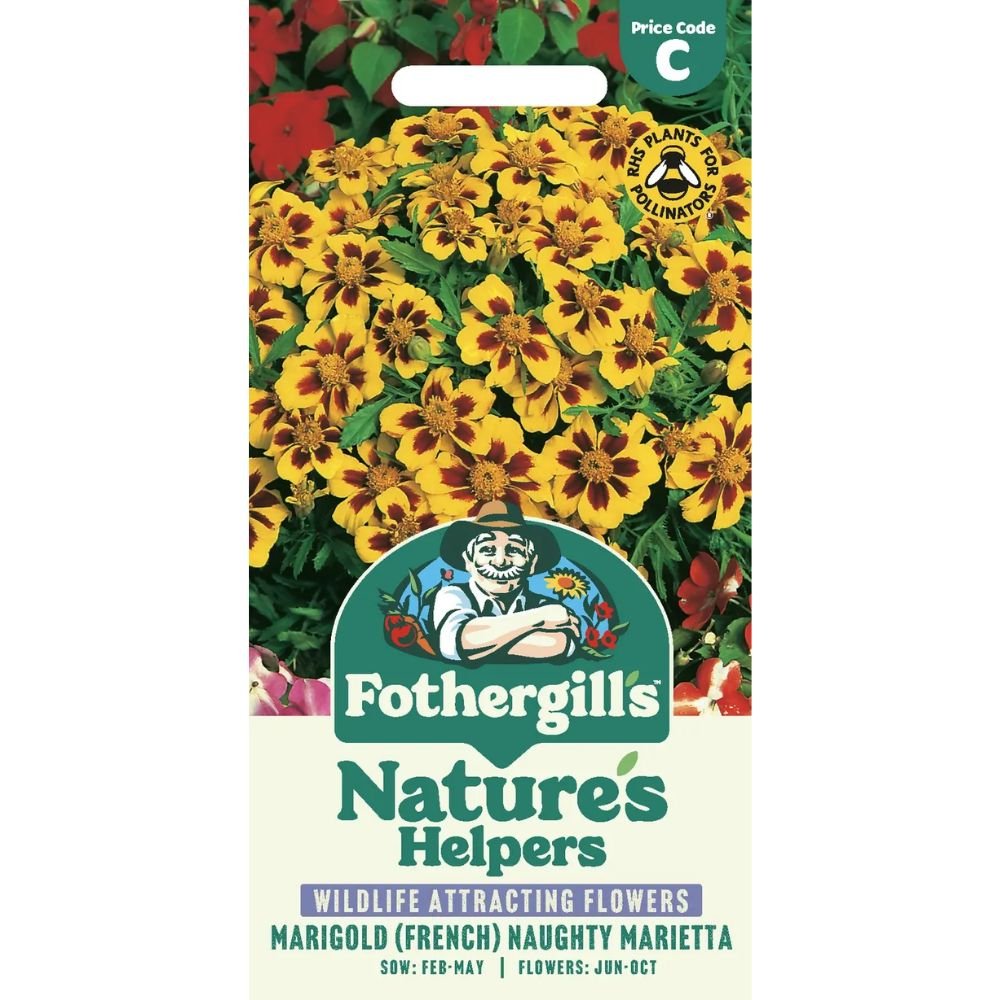Mr Fothergill's Marigold (French) Naughty Marietta Seeds - Old Railway Line Garden Centre