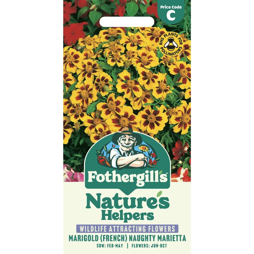 Mr Fothergill's Marigold (French) Naughty Marietta Seeds