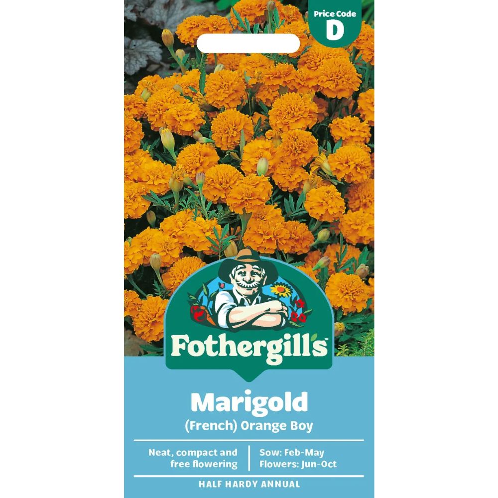 Mr Fothergill's Marigold (French) Orange Boy Seeds