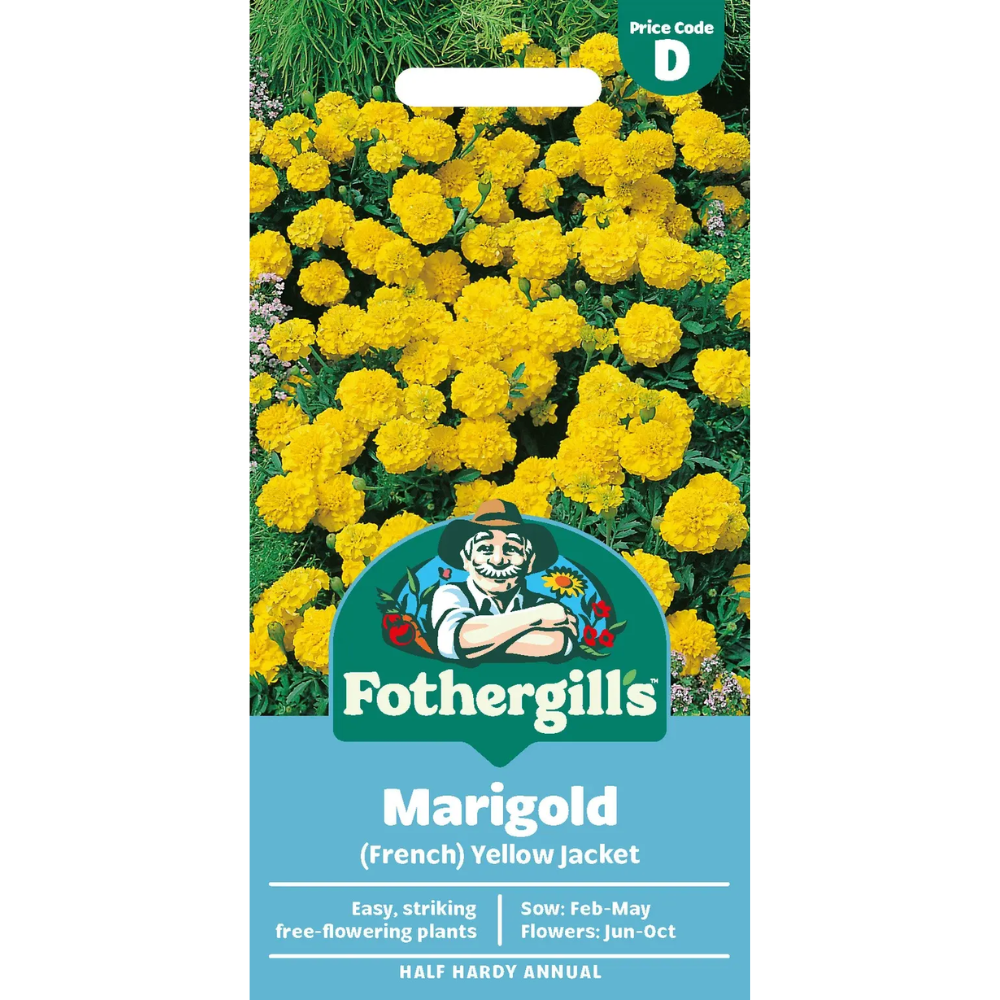 Mr Fothergill's Marigold (French) Yellow Jacket Seeds