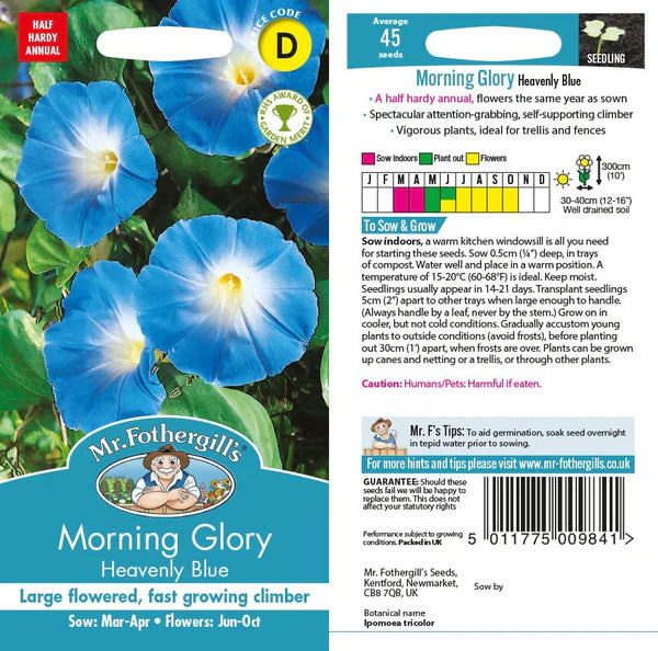 Mr Fothergills Morning Glory Heavenly Blue Seeds