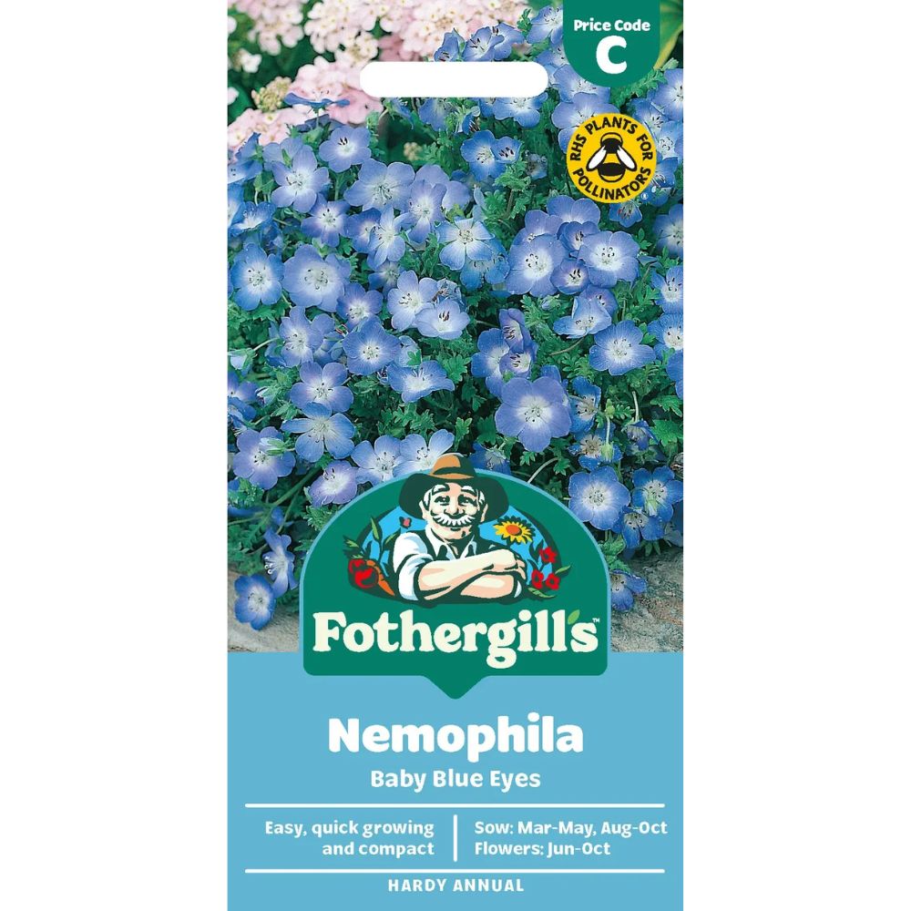 Mr Fothergill's Nemophila Baby Blue Eyes Seeds