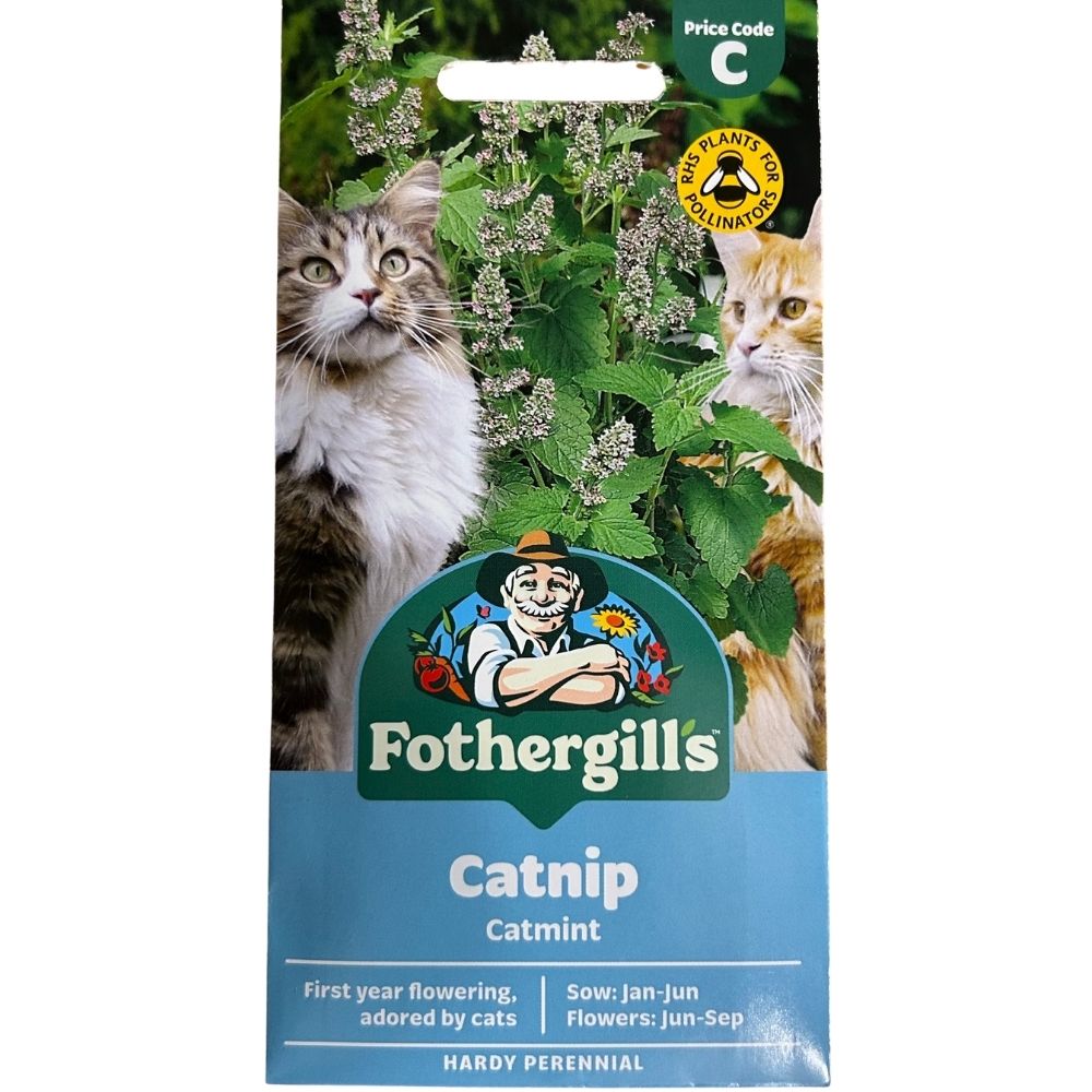 Mr Fothergill's Nepeta Catnip Seeds